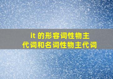 it 的形容词性物主代词和名词性物主代词